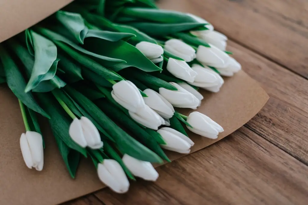 Tặng hoa gì cho đúng dịp: bảng nhớ nhanh