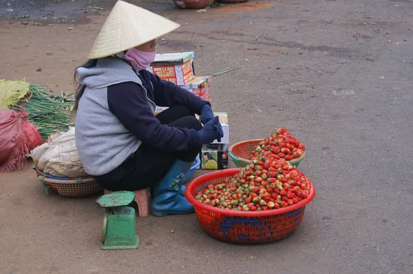Cô bán dâu tây Đà Lạt bên rổ dâu chín