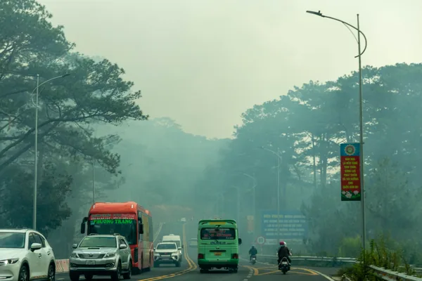 Đèo Prenn mờ sương, xe chạy dưới rừng thông