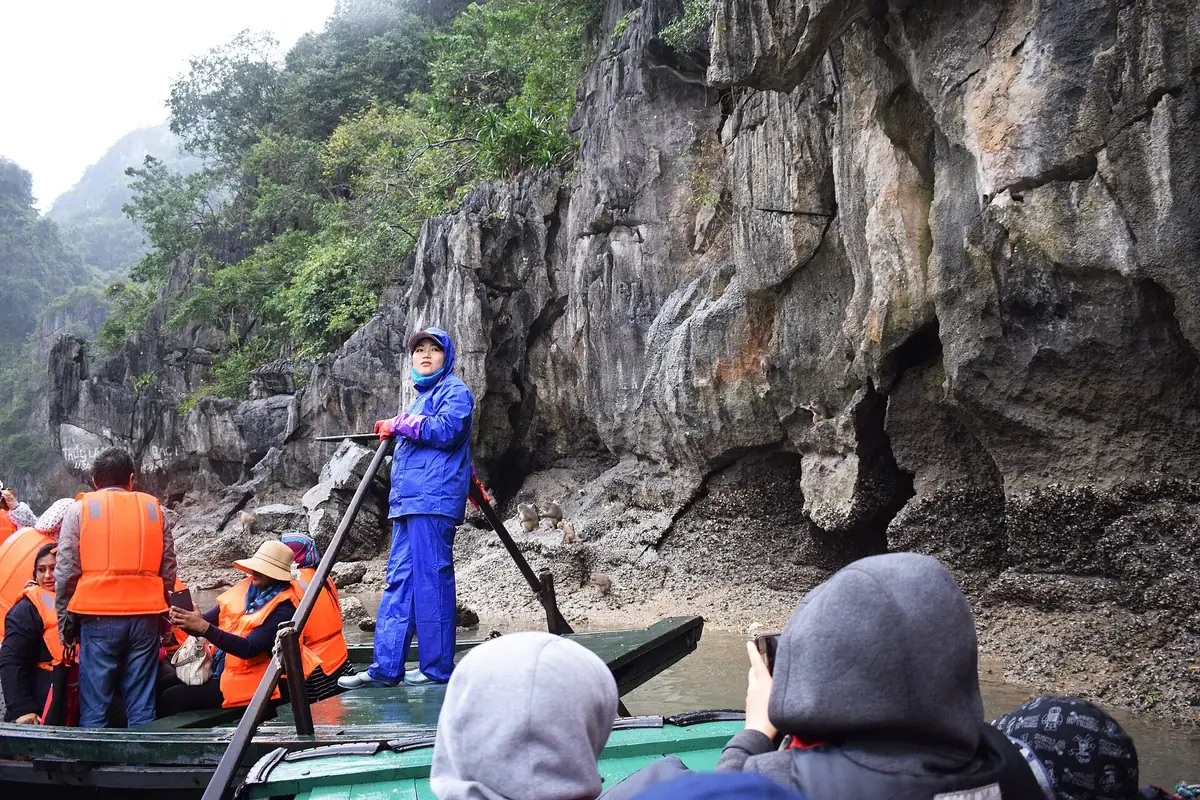 Đò nan vào hang Luồn, Hạ Long · 5/2026
