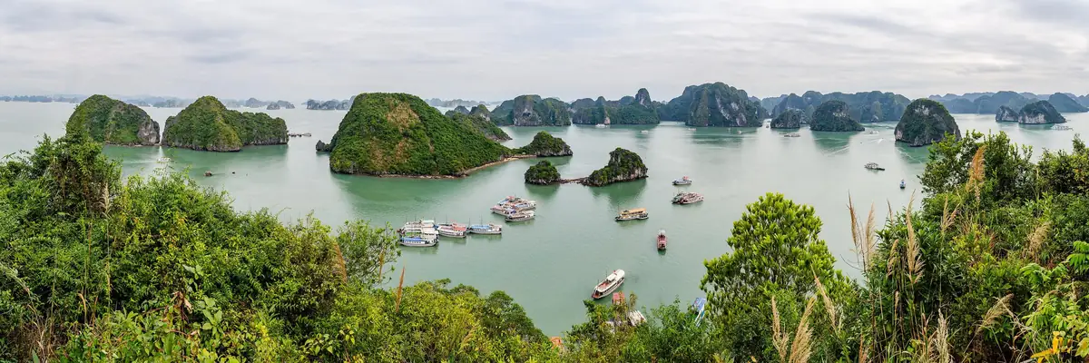 Vịnh Hạ Long nhìn từ đỉnh đảo Ti Tốp