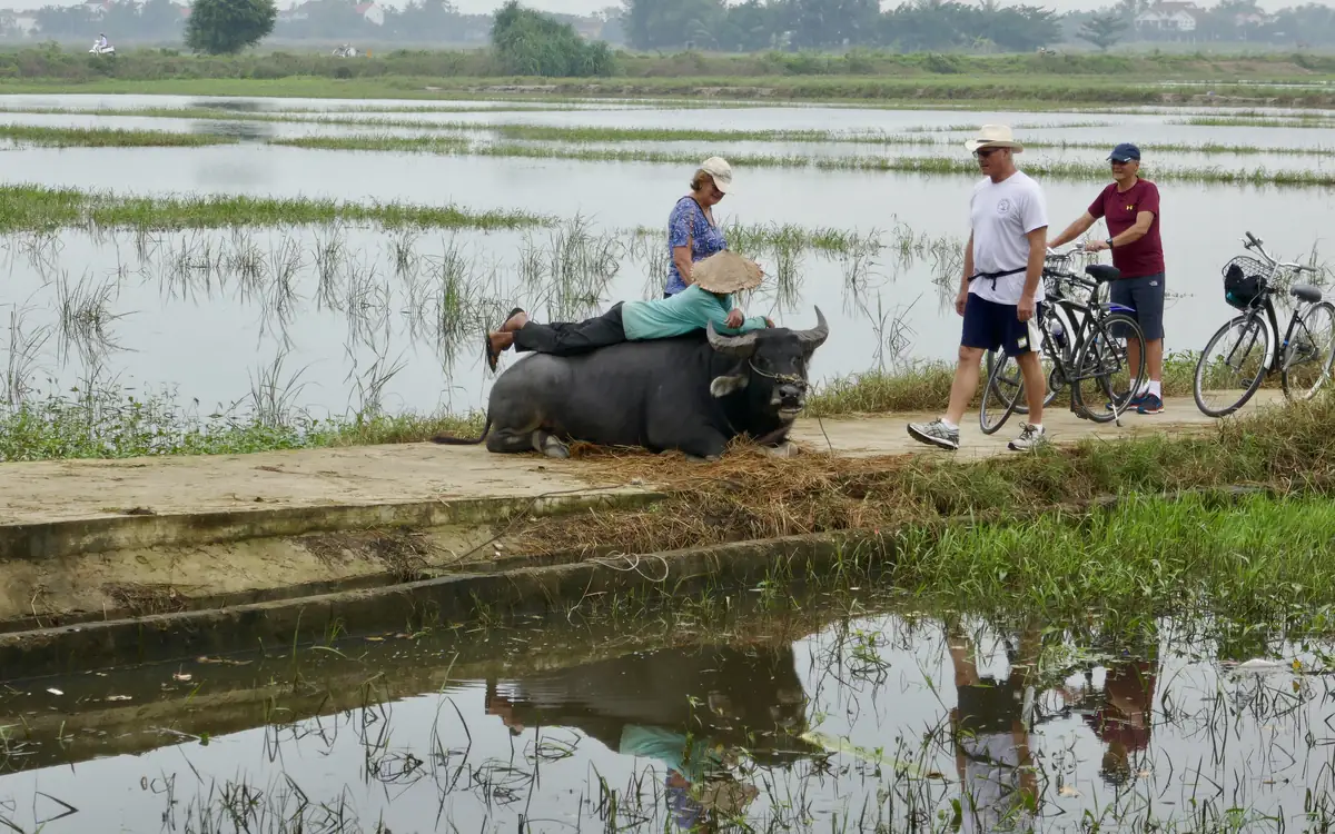 Dừng xe đạp bên cánh đồng làng rau Trà Quế, Hội An