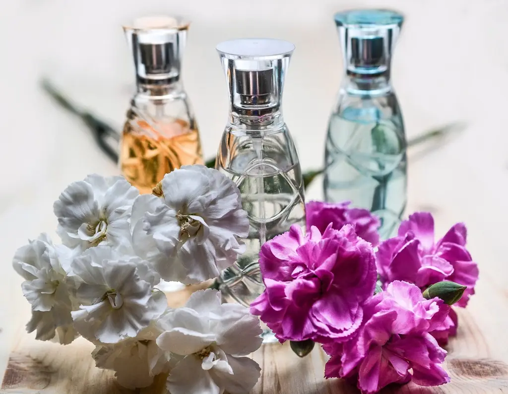Chai thuỷ tinh và hoa cẩm chướng