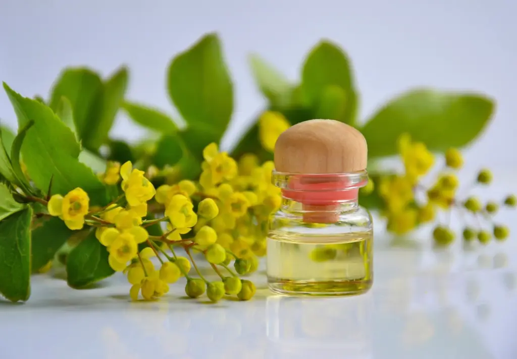 Dầu tẩy trang Cám gạo & Hoa trà — Sương Cleansing Oil