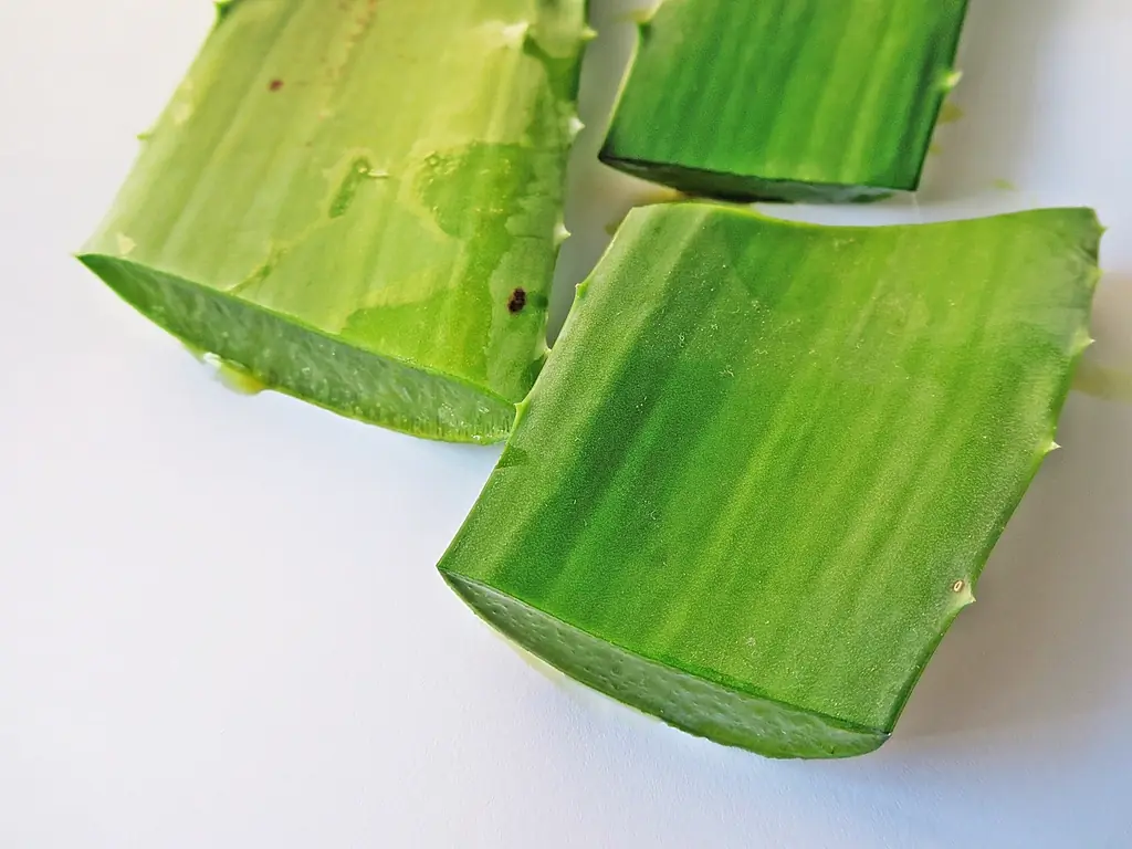 Khô & thiếu ẩm