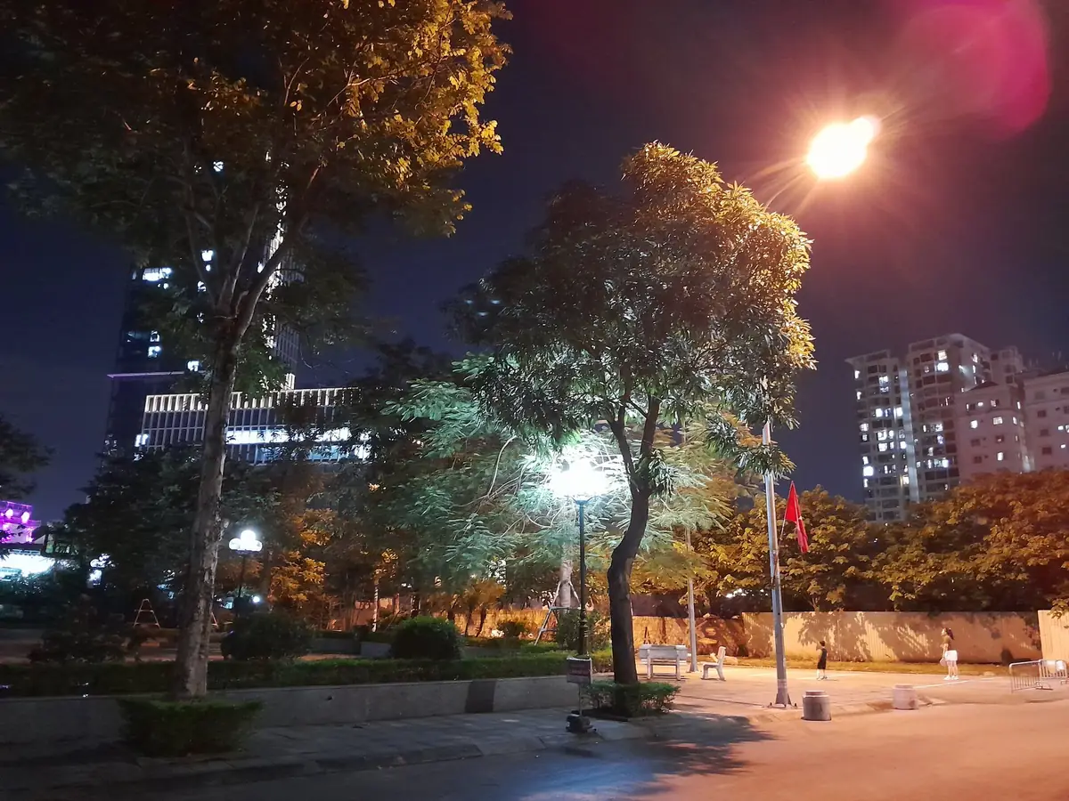 Chơi tối dưới đèn công viên