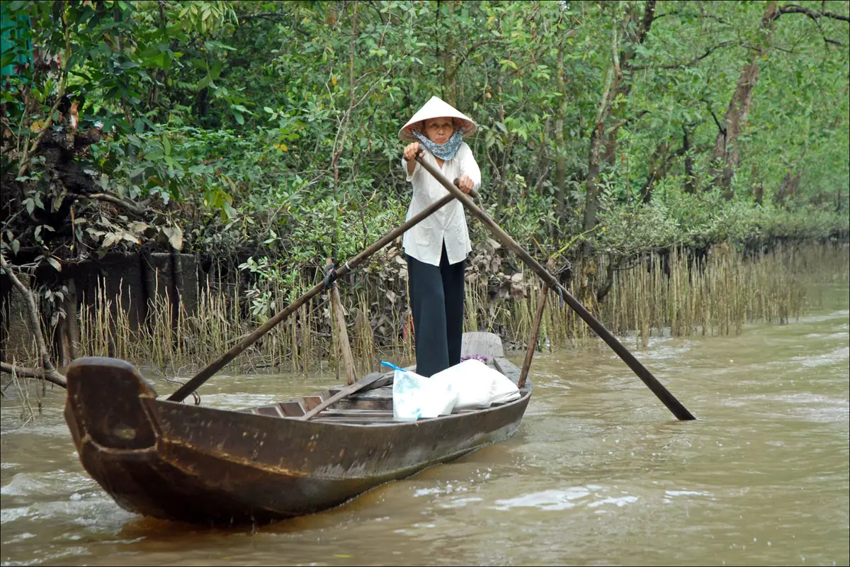Chèo xuồng trên rạch miền Tây