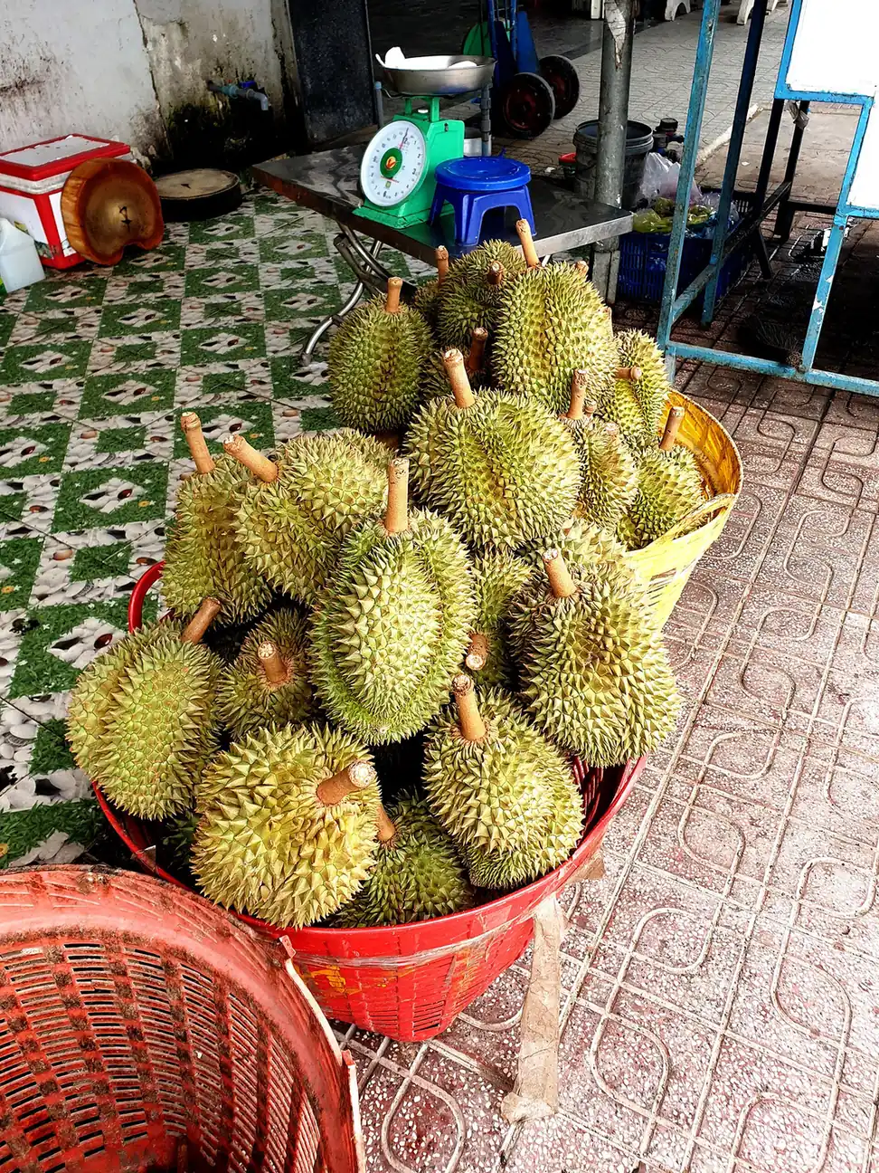 Thúng sầu riêng ở Cái Bè, Tiền Giang