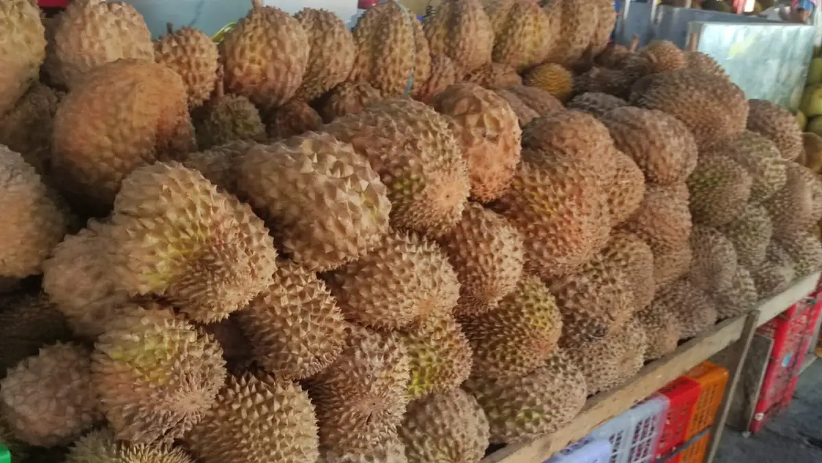 Cửa hàng Hà Nội — ảnh minh hoạ khu vực