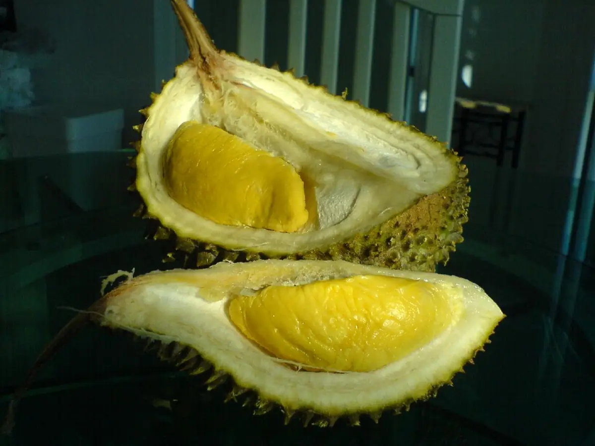 Sầu riêng Musang King nguyên trái