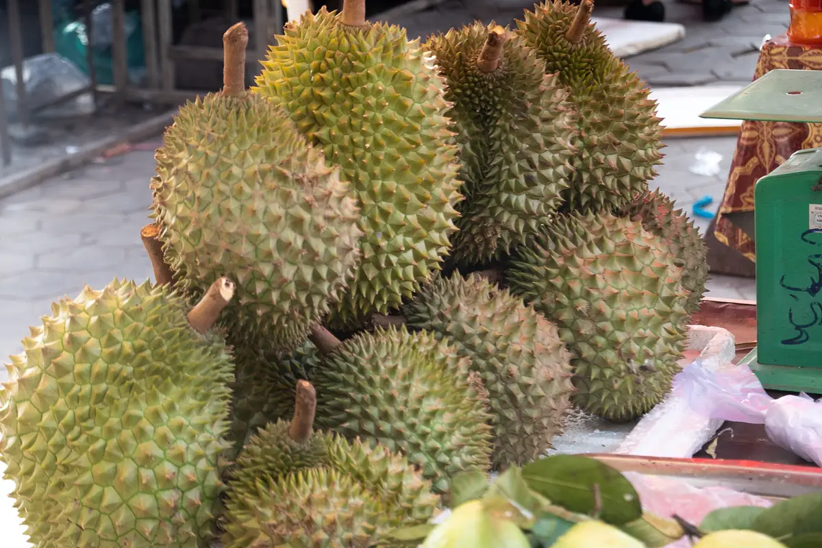 Combo gia đình cuối tuần