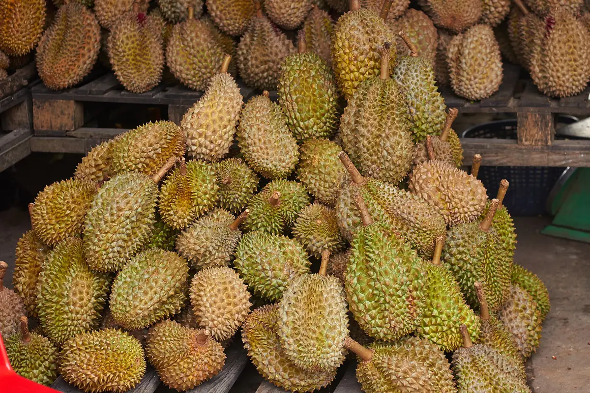 Sầu riêng xếp chồng ở chợ
