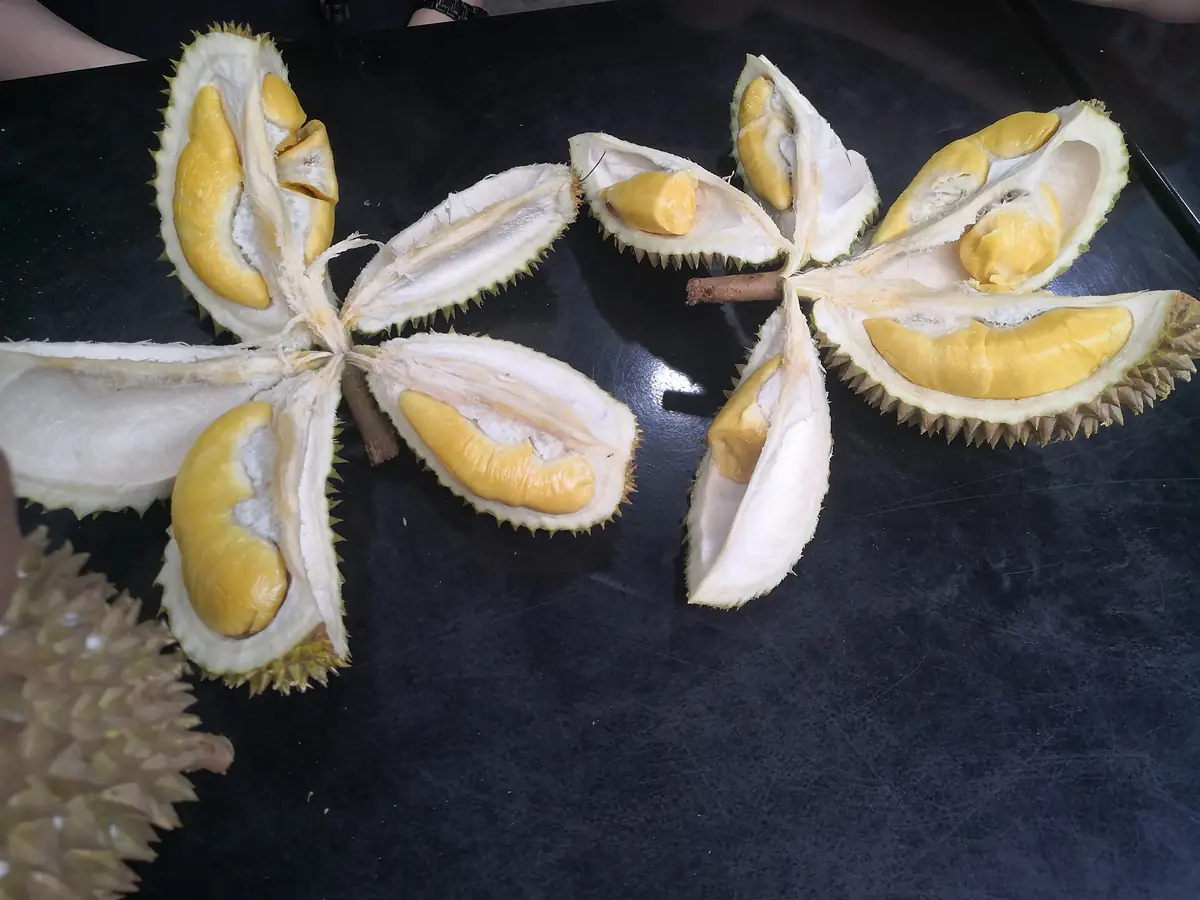 Hộp quà biếu Vàng Mơn