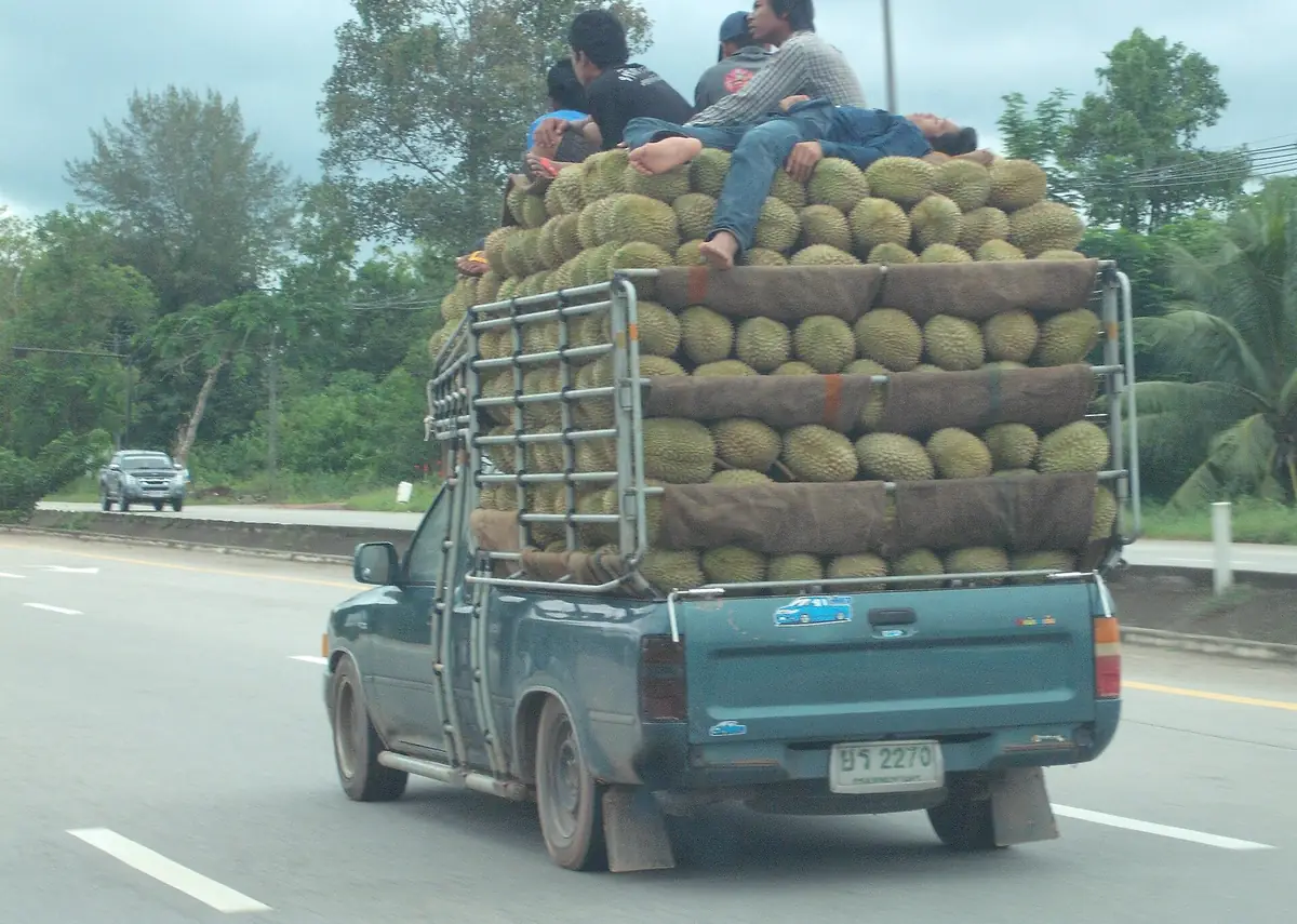 Xe chở sầu riêng