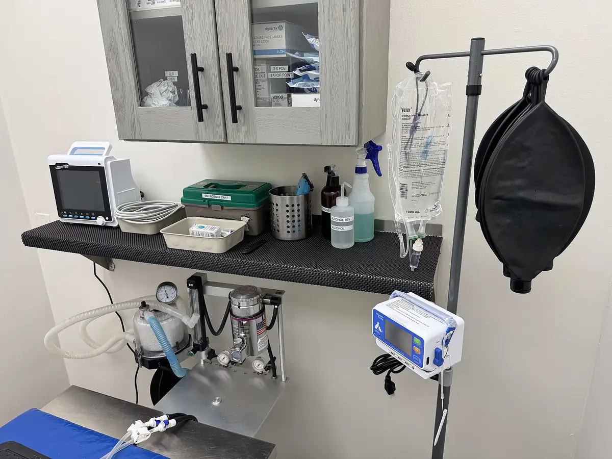 Gây mê hô hấp & monitor