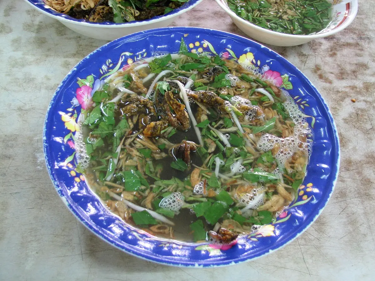 Miến gà / miến lươn